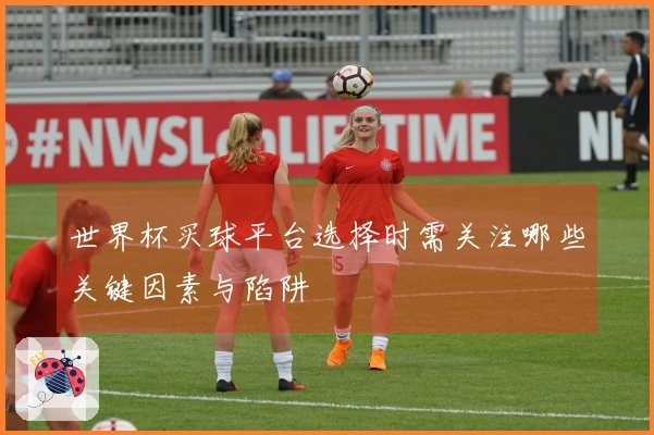 世界杯买球平台选择时需关注哪些关键因素与陷阱
