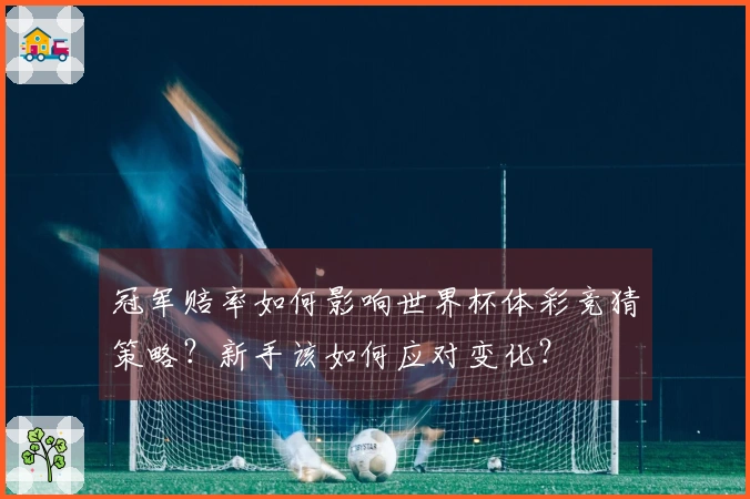 冠军赔率如何影响世界杯体彩竞猜策略？新手该如何应对变化？