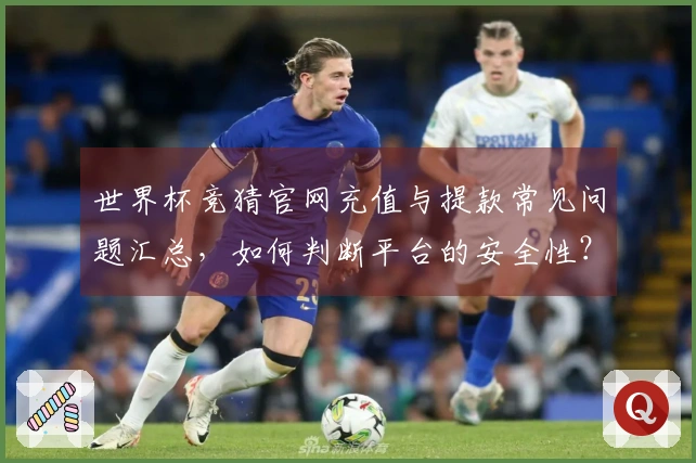 世界杯竞猜官网充值与提款常见问题汇总，如何判断平台的安全性？