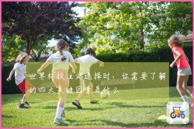 世界杯投注站选择时，你需要了解的四大关键因素是什么