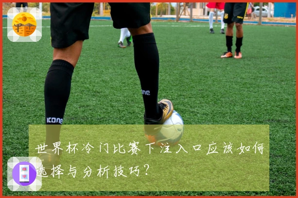 世界杯冷门比赛下注入口应该如何选择与分析技巧？