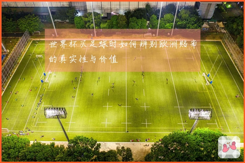 世界杯买足球时如何辨别欧洲赔率的真实性与价值