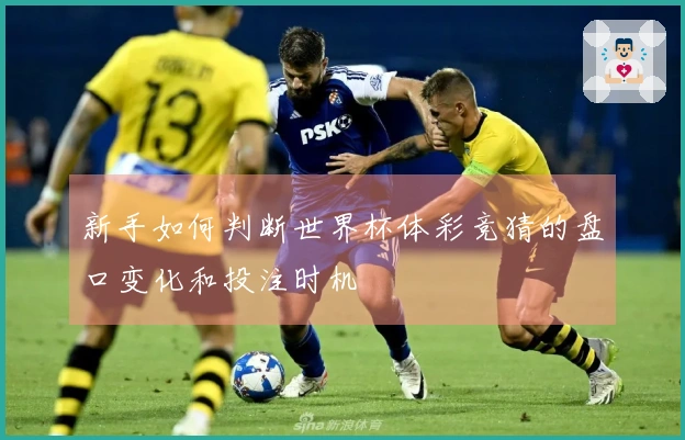 新手如何判断世界杯体彩竞猜的盘口变化和投注时机